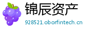 锦辰资产